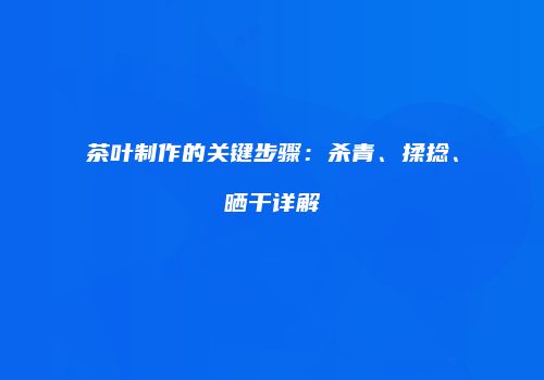 茶叶制作的关键步骤：杀青、揉捻、晒干详解