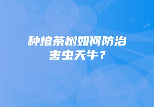 种植茶树如何防治害虫天牛？