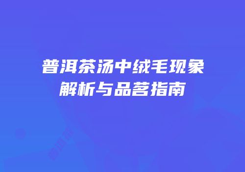 普洱茶汤中绒毛现象解析与品茗指南