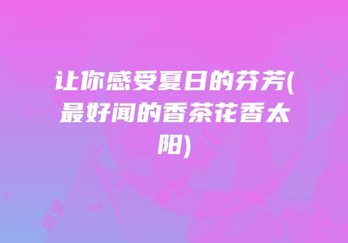 让你感受夏日的芬芳(最好闻的香茶花香太阳)