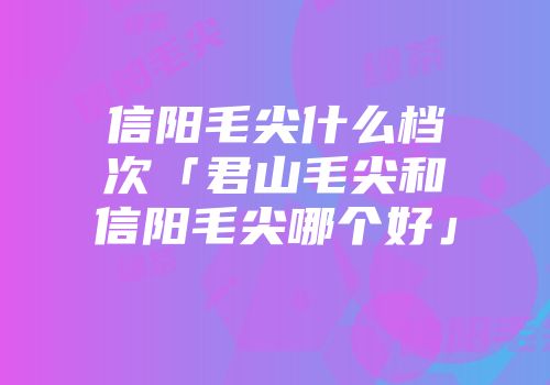 信阳毛尖什么档次「君山毛尖和信阳毛尖哪个好」
