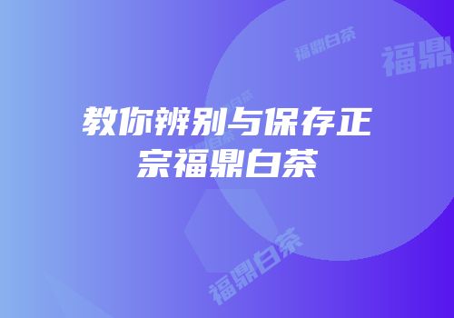 教你辨别与保存正宗福鼎白茶