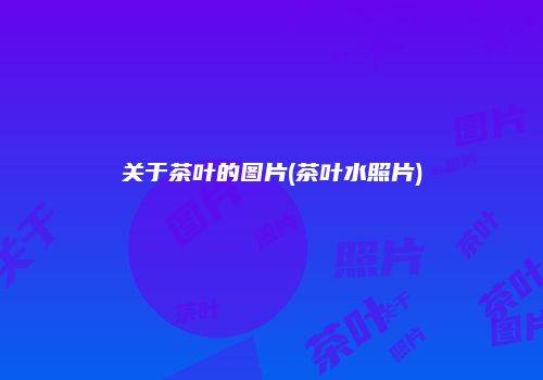 关于茶叶的图片(茶叶水照片)