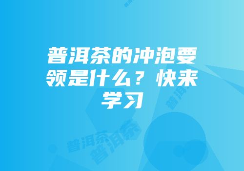 普洱茶的冲泡要领是什么？快来学习