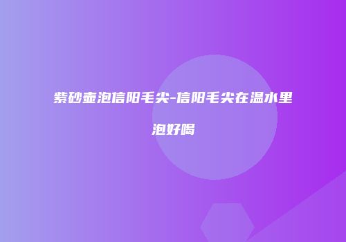 紫砂壶泡信阳毛尖-信阳毛尖在温水里泡好喝