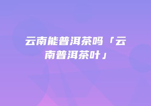 云南能普洱茶吗「云南普洱茶叶」