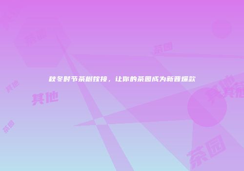 秋冬时节茶树嫁接，让你的茶园成为新晋爆款