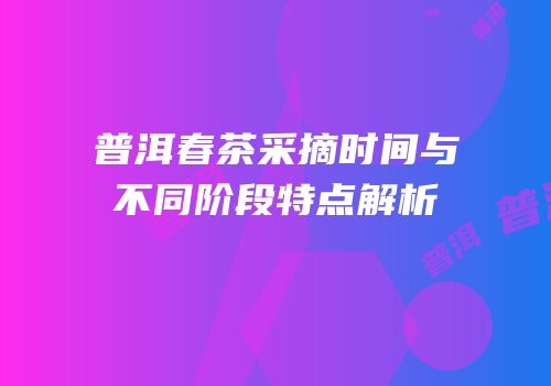 普洱春茶采摘时间与不同阶段特点解析