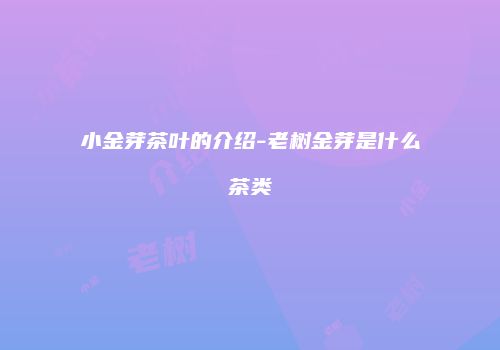 小金芽茶叶的介绍-老树金芽是什么茶类