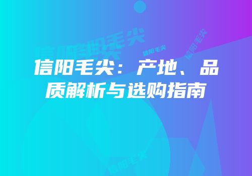信阳毛尖：产地、品质解析与选购指南