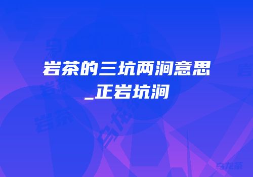岩茶的三坑两涧意思_正岩坑涧