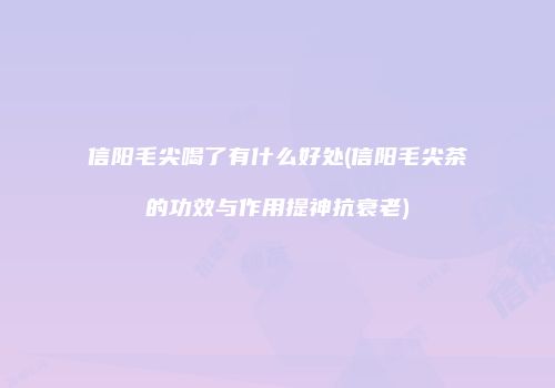 信阳毛尖喝了有什么好处(信阳毛尖茶的功效与作用提神抗衰老)