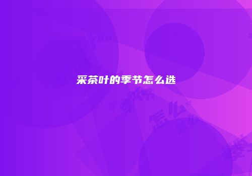采茶叶的季节怎么选