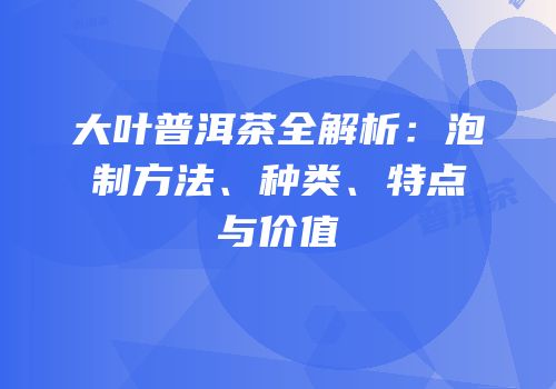 大叶普洱茶全解析：泡制方法、种类、特点与价值
