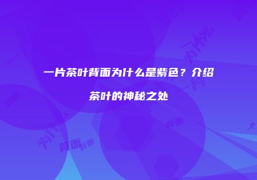 一片茶叶背面为什么是紫色？介绍茶叶的神秘之处
