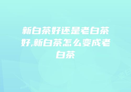 新白茶好还是老白茶好,新白茶怎么变成老白茶