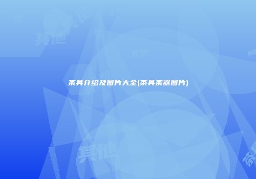 茶具介绍及图片大全(茶具茶器图片)