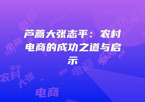 芦蒿大张志平：农村电商的成功之道与启示