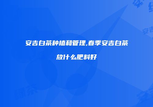 安吉白茶种植和管理,春季安吉白茶放什么肥料好