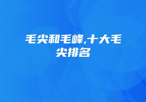 毛尖和毛峰,十大毛尖排名