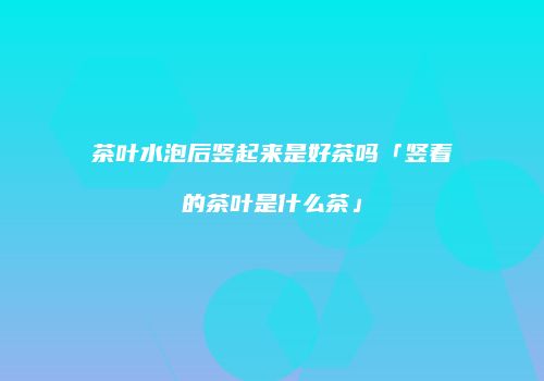 茶叶水泡后竖起来是好茶吗「竖着的茶叶是什么茶」
