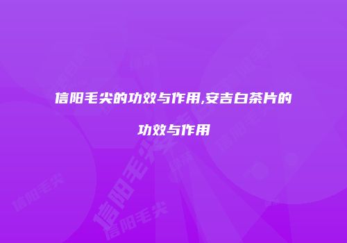 信阳毛尖的功效与作用,安吉白茶片的功效与作用
