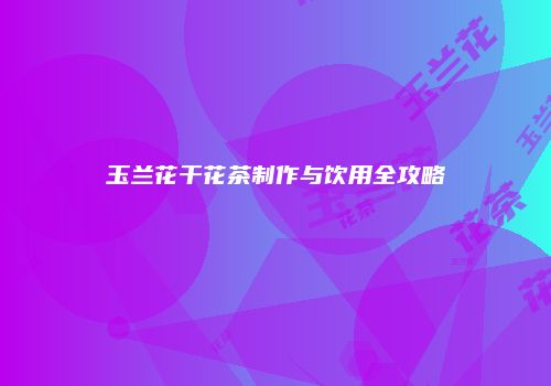 玉兰花干花茶制作与饮用全攻略