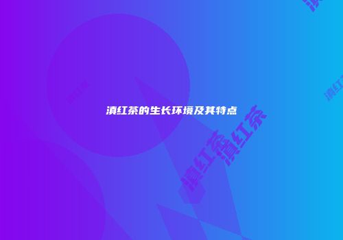 滇红茶的生长环境及其特点