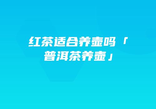 红茶适合养壶吗「普洱茶养壶」