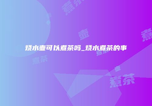 烧水壶可以煮茶吗_烧水煮茶的事