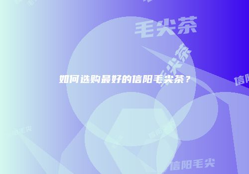 如何选购最好的信阳毛尖茶？
