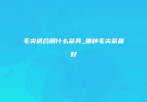 毛尖适合用什么茶具_哪种毛尖茶最好