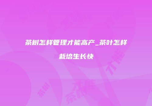 茶树怎样管理才能高产_茶叶怎样栽培生长快