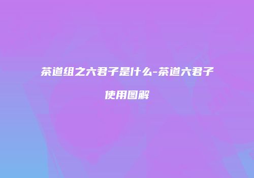 茶道组之六君子是什么-茶道六君子使用图解