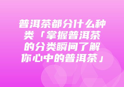 普洱茶都分什么种类「掌握普洱茶的分类瞬间了解你心中的普洱茶」