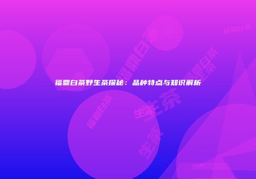 福鼎白茶野生茶探秘：品种特点与知识解析