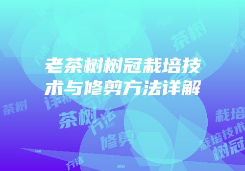 老茶树树冠栽培技术与修剪方法详解