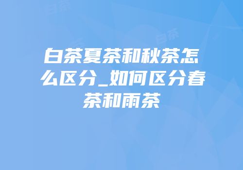 白茶夏茶和秋茶怎么区分_如何区分春茶和雨茶