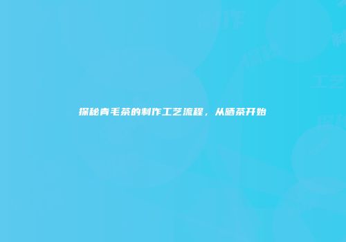 探秘青毛茶的制作工艺流程，从晒茶开始