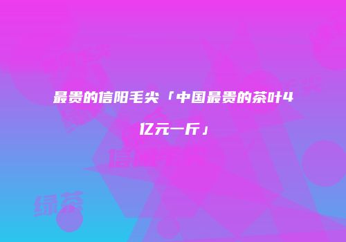 最贵的信阳毛尖「中国最贵的茶叶4亿元一斤」