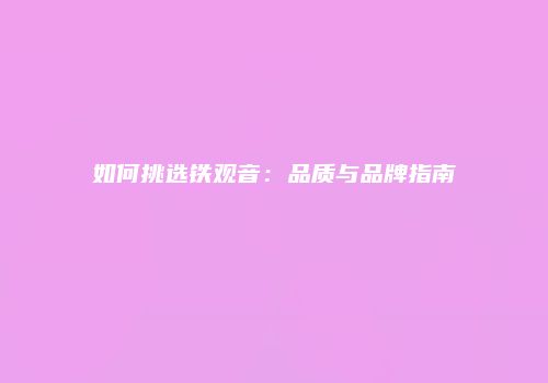 如何挑选铁观音：品质与品牌指南