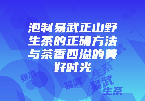 泡制易武正山野生茶的正确方法与茶香四溢的美好时光
