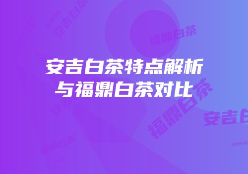 安吉白茶特点解析与福鼎白茶对比