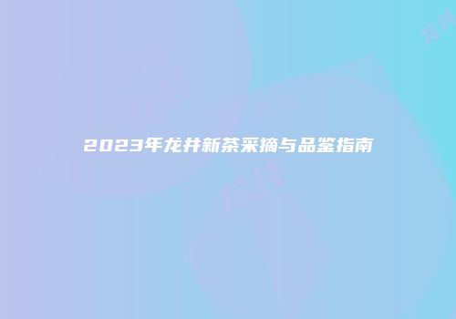 2023年龙井新茶采摘与品鉴指南