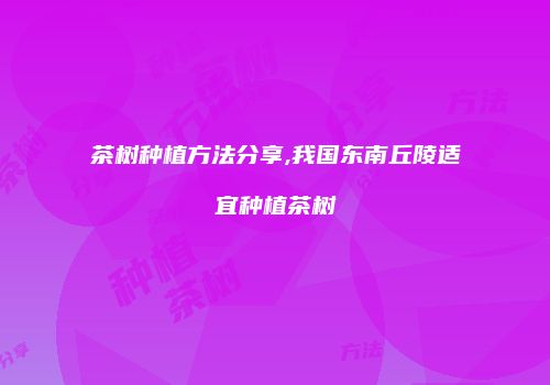 茶树种植方法分享,我国东南丘陵适宜种植茶树