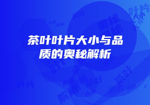 茶叶叶片大小与品质的奥秘解析