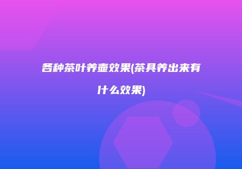 各种茶叶养壶效果(茶具养出来有什么效果)