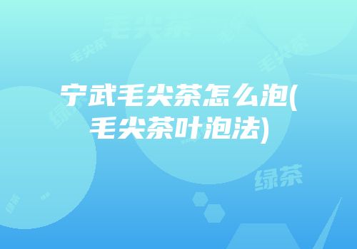 宁武毛尖茶怎么泡(毛尖茶叶泡法)
