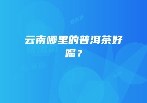 云南哪里的普洱茶好喝？