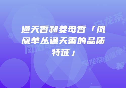 通天香和姜母香「凤凰单丛通天香的品质特征」
